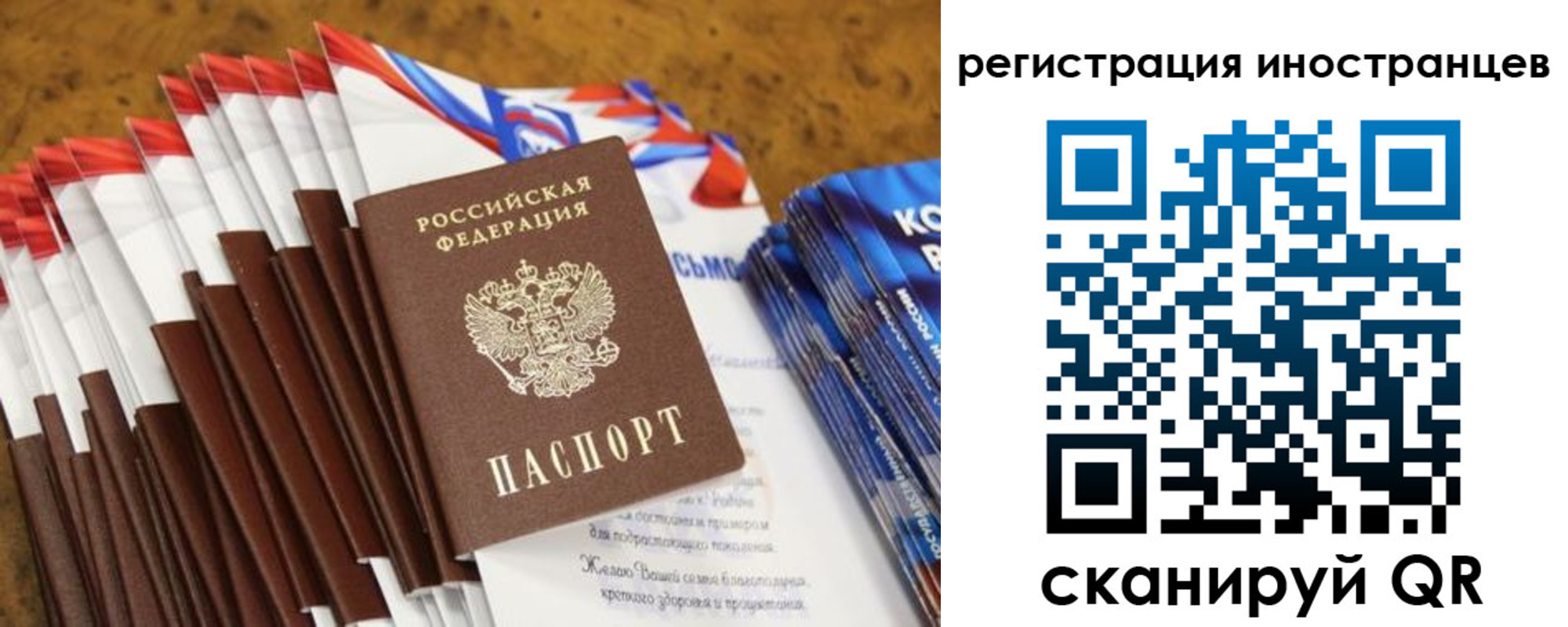 регистрация для школы в Курской области